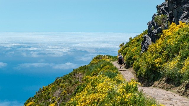 Madeira Spring