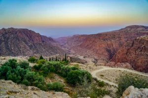 feynan