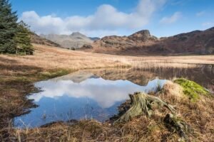 Fairfield Horseshoe 