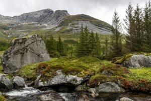 Tindstinden