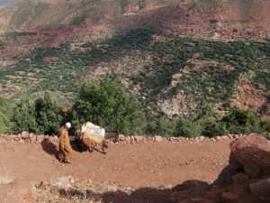 Azzaden Valley