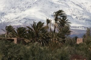 Tizi n'Tamatert