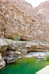 Snake Canyon