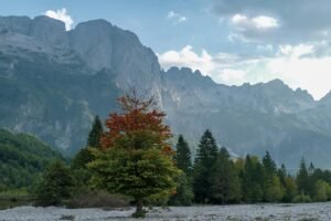 Valbona