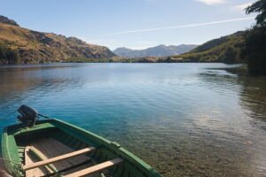 28520689948 c3a00f39f9 c