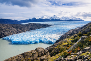 Grey Glacier