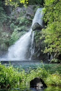 12082422723 273d81fb1a c