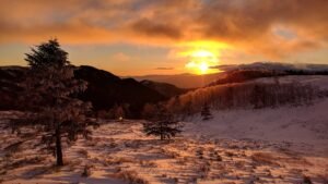 27254049999 c75d824d36 c