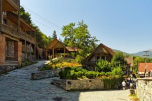 49604823661 7d9a49da45 c