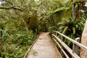 50125023133 c8f5e3a22d c