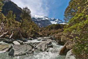 Rob Roy Wanaka
