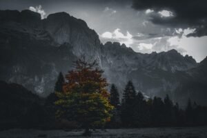 mountain 7240531 1280