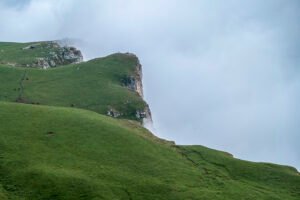 52897844519 7766bc2d7e c