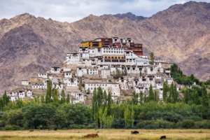 Monastery Ladakh