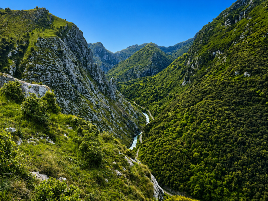 Cabrales Valley