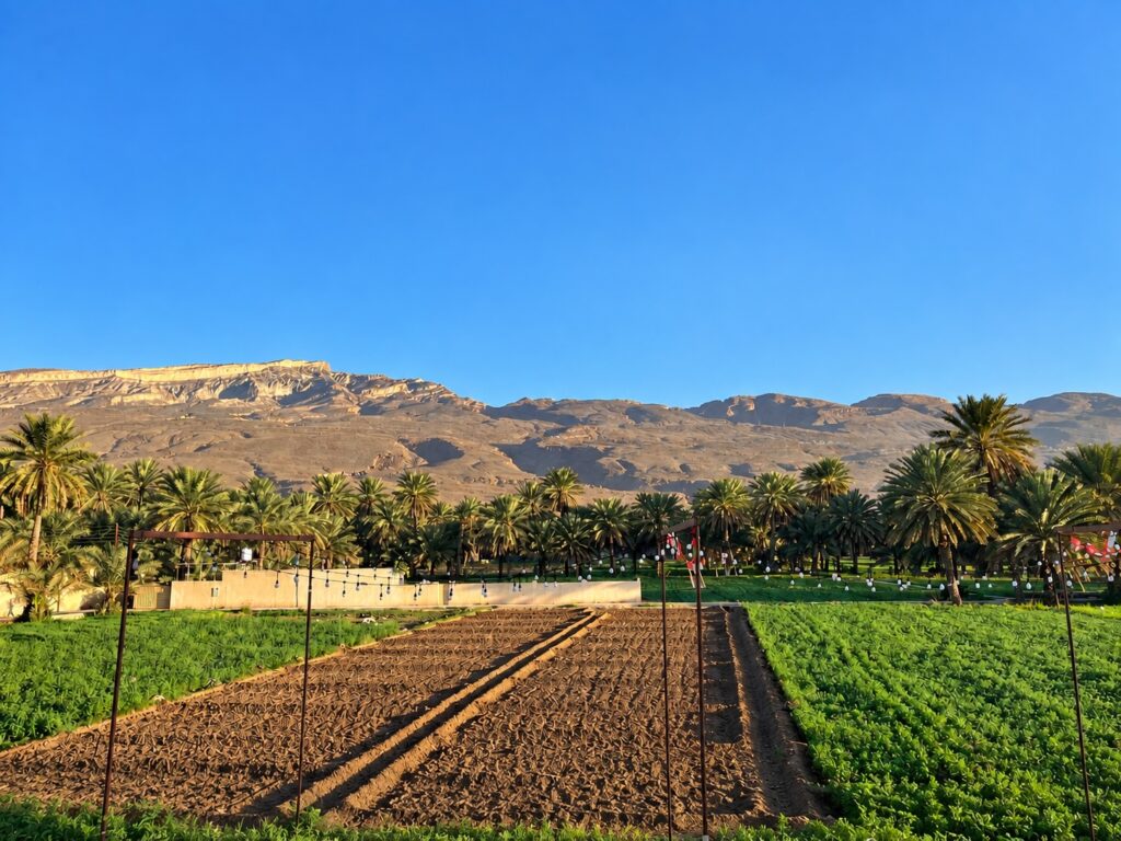 Al Hamra