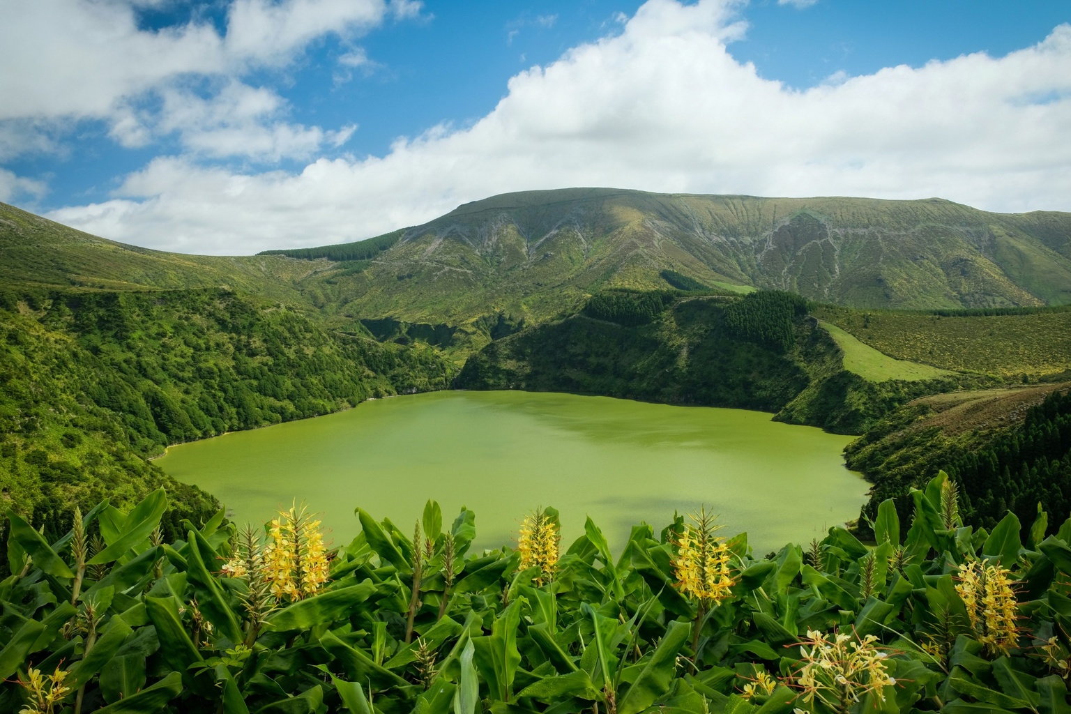 Azores Hero