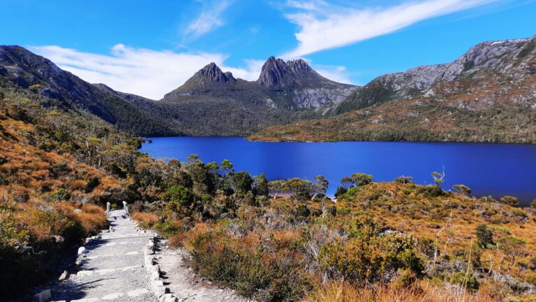 Tasmania Hero